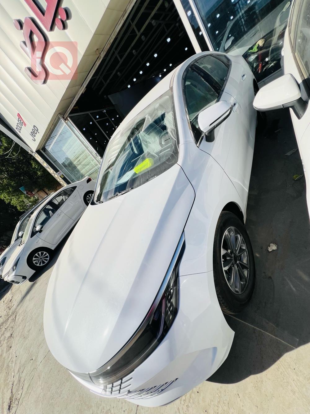 BYD Destroyer 05